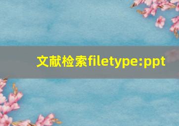 文献检索filetype:ppt