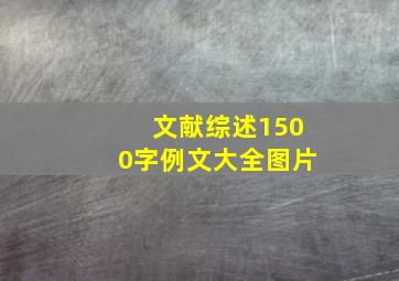 文献综述1500字例文大全图片