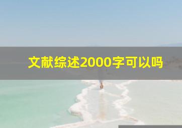 文献综述2000字可以吗