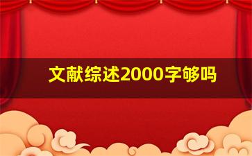 文献综述2000字够吗