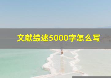 文献综述5000字怎么写