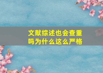 文献综述也会查重吗为什么这么严格