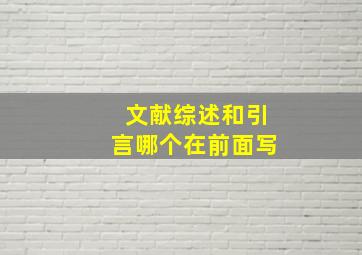 文献综述和引言哪个在前面写