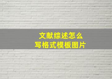 文献综述怎么写格式模板图片