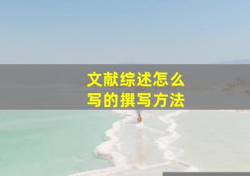 文献综述怎么写的撰写方法