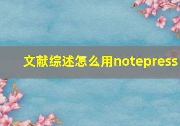 文献综述怎么用notepress