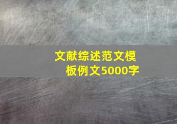 文献综述范文模板例文5000字