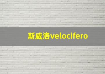 斯威洛velocifero