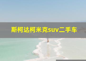 斯柯达柯米克suv二手车