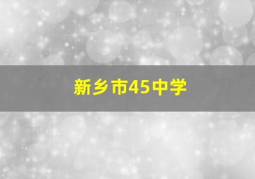 新乡市45中学