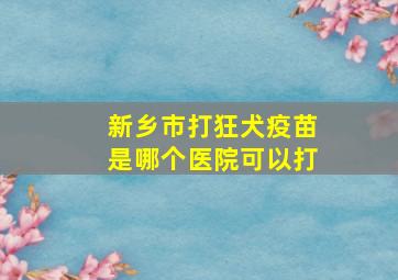 新乡市打狂犬疫苗是哪个医院可以打