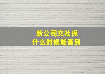 新公司交社保什么时候能查到