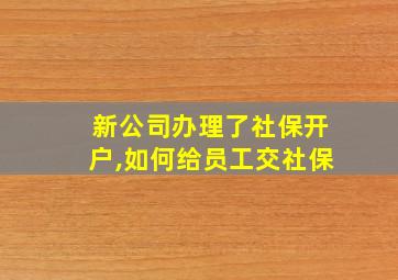 新公司办理了社保开户,如何给员工交社保