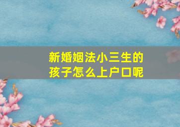 新婚姻法小三生的孩子怎么上户口呢