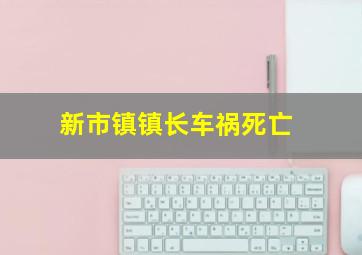 新市镇镇长车祸死亡