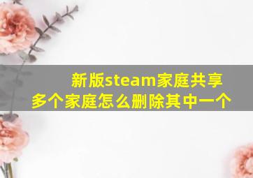 新版steam家庭共享多个家庭怎么删除其中一个