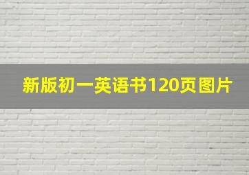 新版初一英语书120页图片