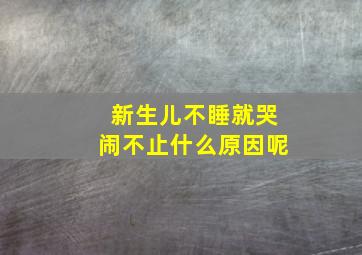 新生儿不睡就哭闹不止什么原因呢