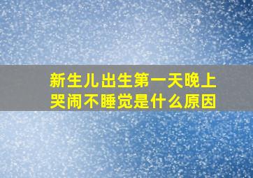 新生儿出生第一天晚上哭闹不睡觉是什么原因