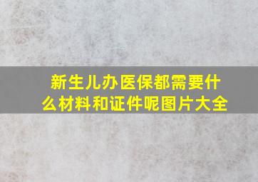 新生儿办医保都需要什么材料和证件呢图片大全