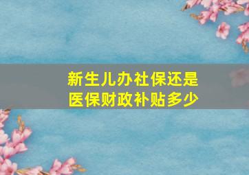 新生儿办社保还是医保财政补贴多少