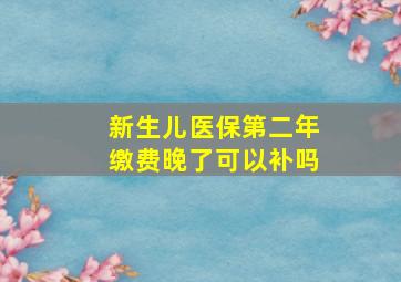 新生儿医保第二年缴费晚了可以补吗