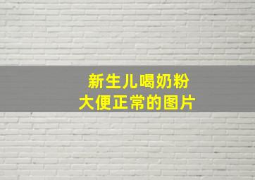 新生儿喝奶粉大便正常的图片