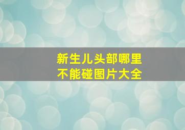 新生儿头部哪里不能碰图片大全