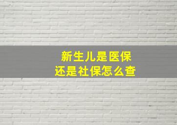 新生儿是医保还是社保怎么查