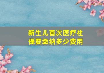 新生儿首次医疗社保要缴纳多少费用