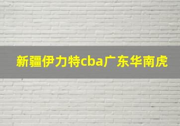 新疆伊力特cba广东华南虎