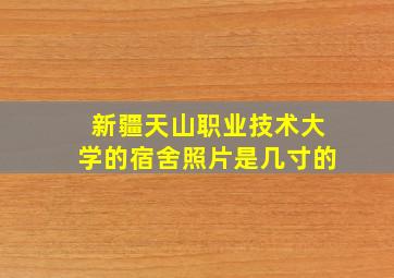 新疆天山职业技术大学的宿舍照片是几寸的