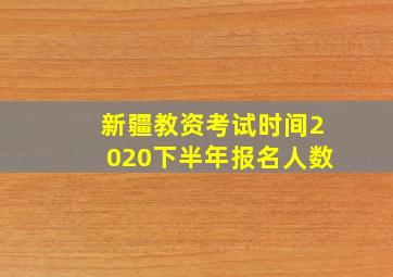 新疆教资考试时间2020下半年报名人数