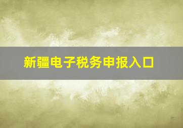 新疆电子税务申报入口