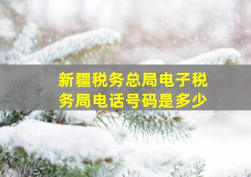 新疆税务总局电子税务局电话号码是多少