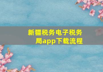 新疆税务电子税务局app下载流程