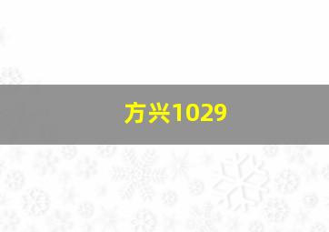 方兴1029