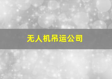 无人机吊运公司