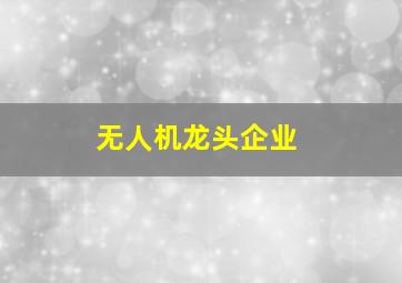 无人机龙头企业