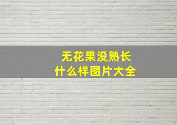 无花果没熟长什么样图片大全