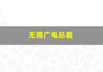 无锡广电总裁