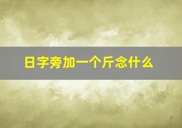 日字旁加一个斤念什么