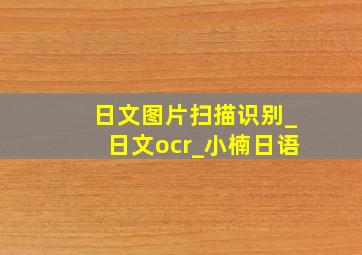 日文图片扫描识别_日文ocr_小楠日语