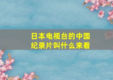 日本电视台的中国纪录片叫什么来着