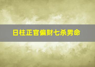 日柱正官偏财七杀男命