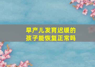 早产儿发育迟缓的孩子能恢复正常吗