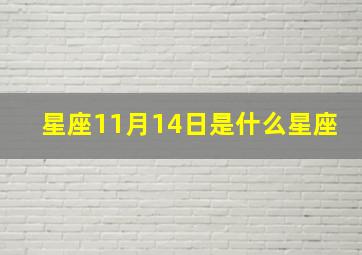 星座11月14日是什么星座