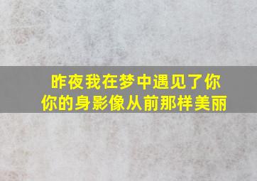 昨夜我在梦中遇见了你你的身影像从前那样美丽