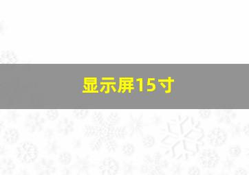 显示屏15寸