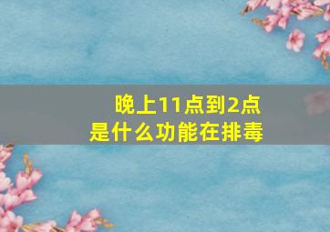 晚上11点到2点是什么功能在排毒